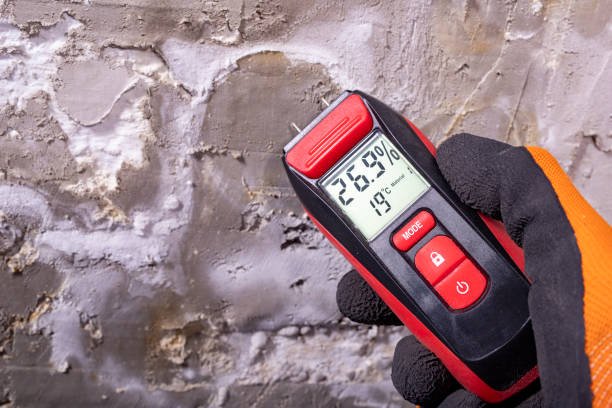 Best Home Mold Removal  in Toledo, IA