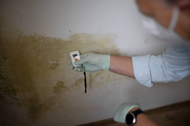 Best Crawl Space Mold Removal  in Toledo, IA