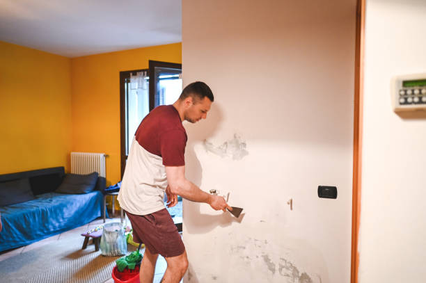 Best Emergency Mold Removal  in Toledo, IA